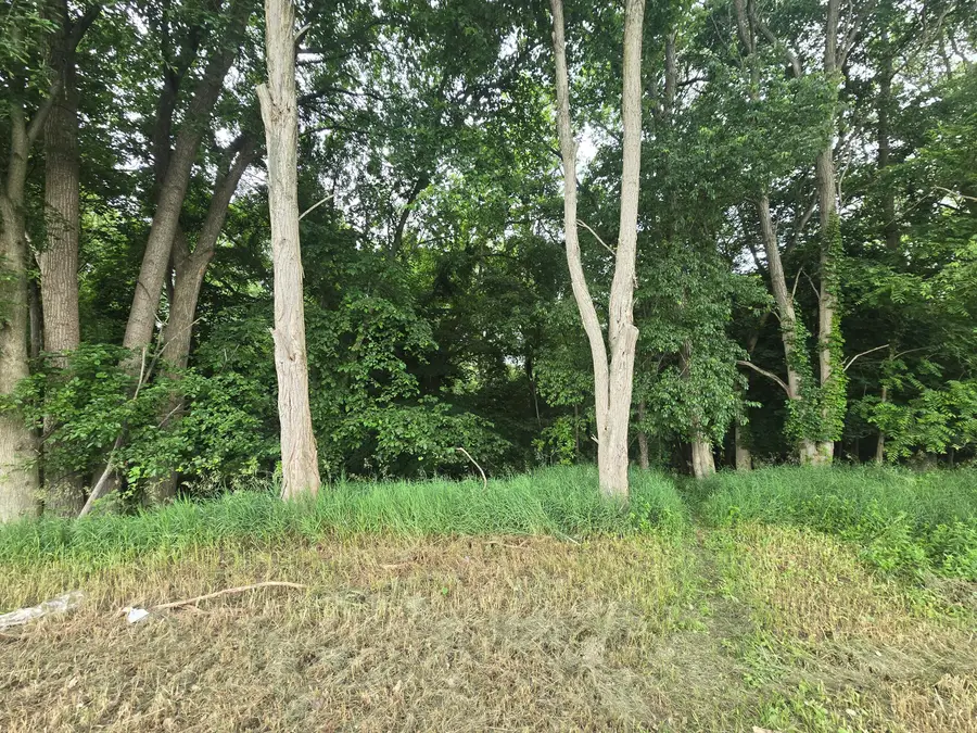 V/L E Washington Street, Greenville, MI 48838 - #3