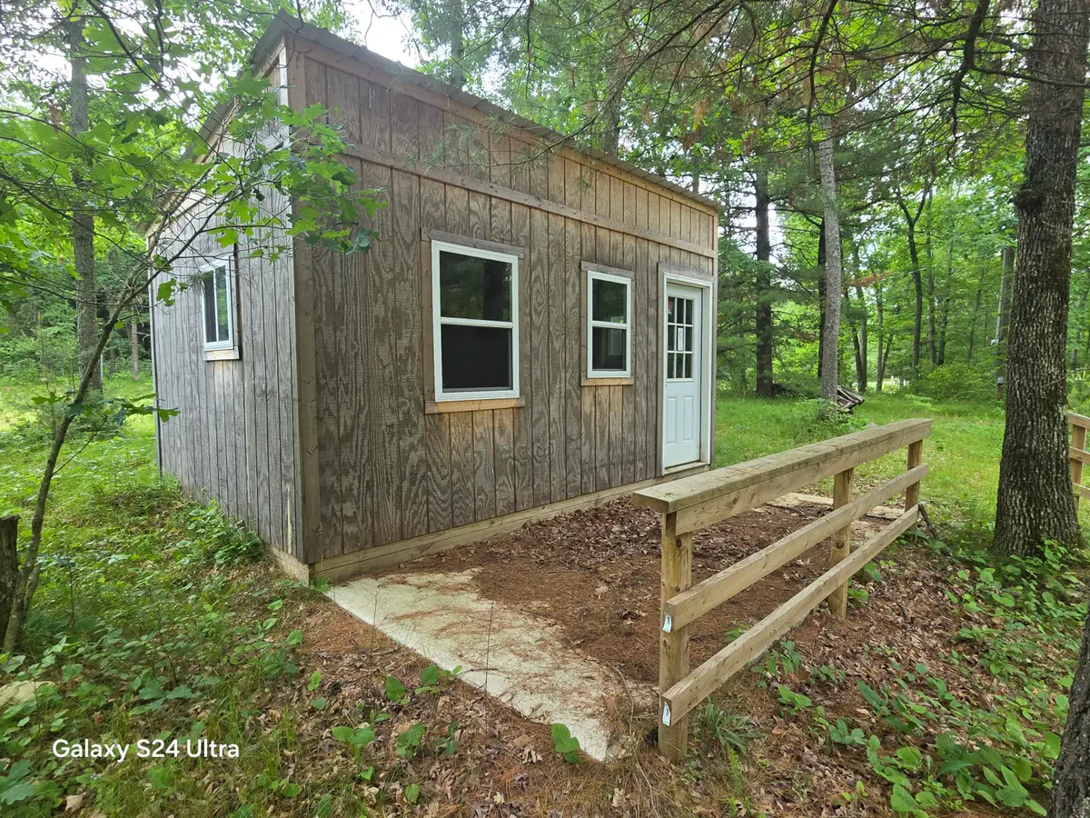 10513 N Peacock Trail, Irons, MI 49644 - #1
