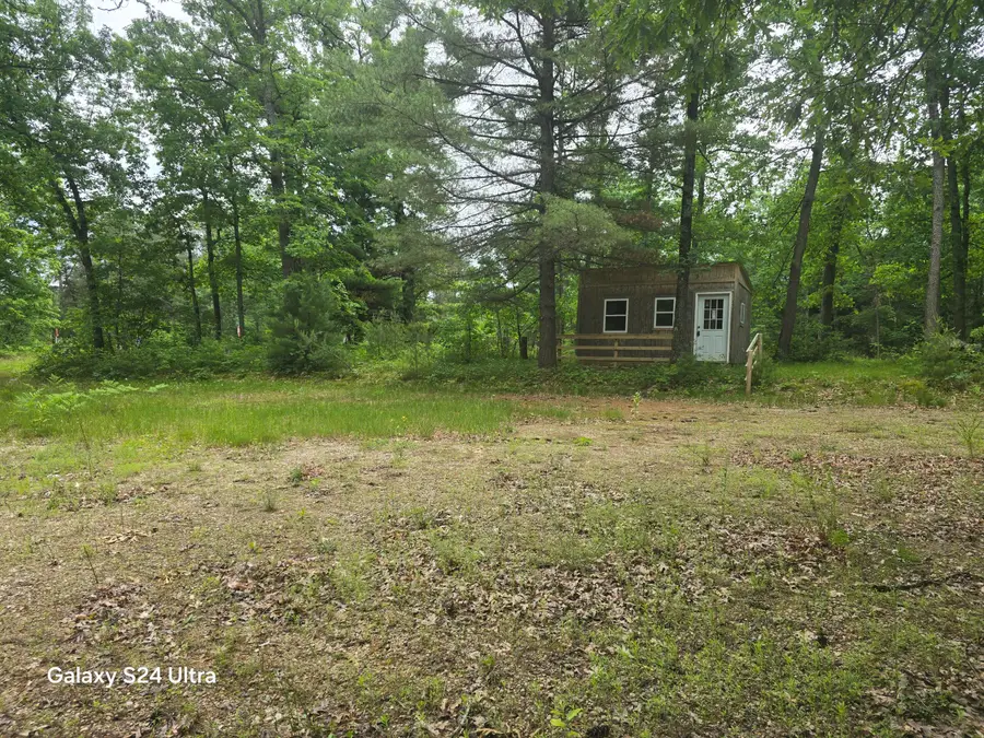 10513 N Peacock Trail, Irons, MI 49644 - #2