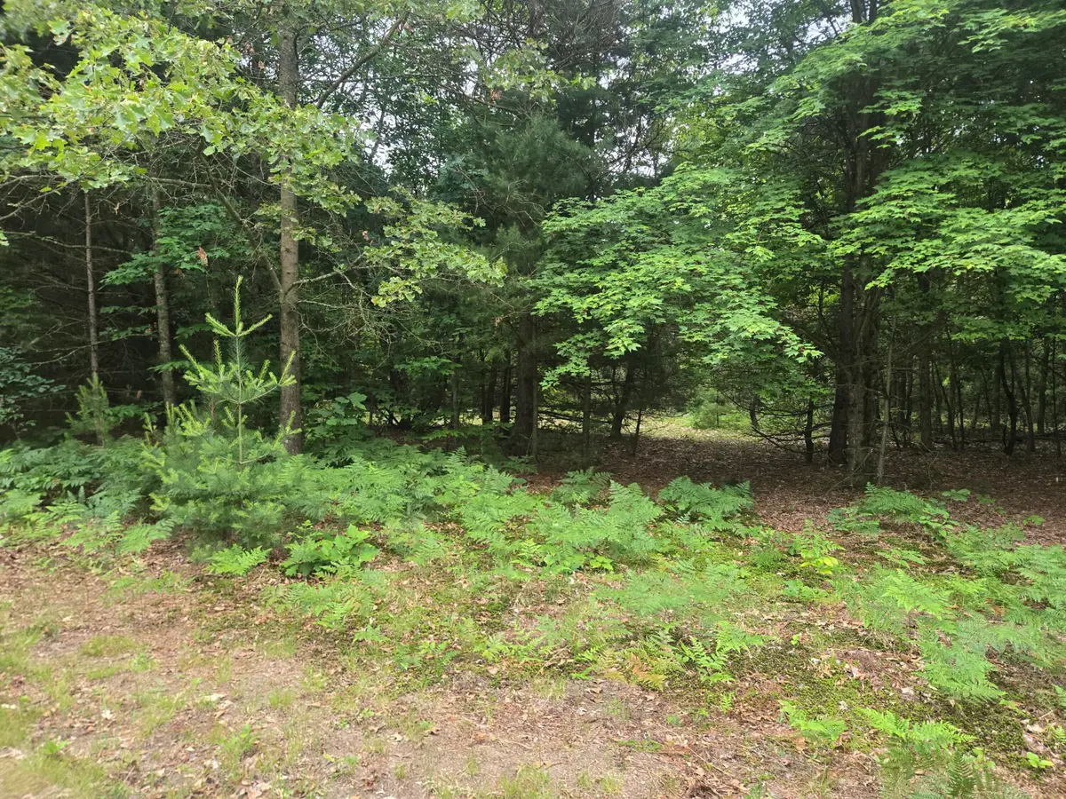 2732 S 132nd Avenue, Shelby, MI 49455 - #1
