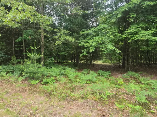 2732 S 132nd Avenue, Shelby, MI 49455