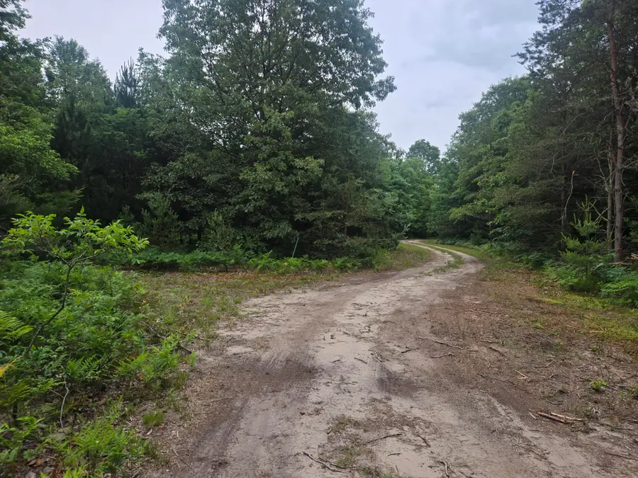 2732 S 132nd Avenue, Shelby, MI 49455 - #2