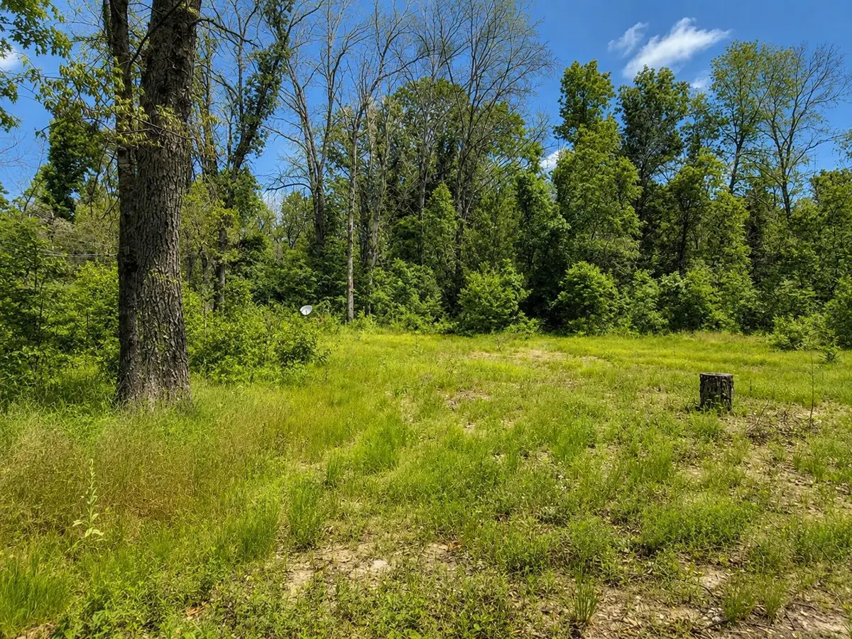 102 E Peoria Avenue, Idlewild, MI 49642 - #1