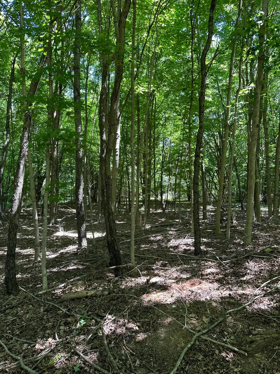 Lot 2 Christopher Lane, South Haven, MI 49090 - #3