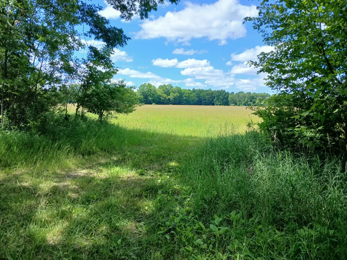 20A N Stephens Road, Custer, MI 49405 - #1