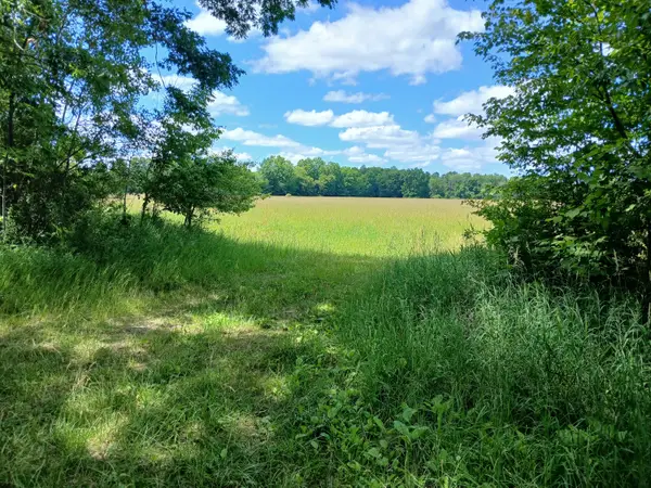 20A N Stephens Road, Custer, MI 49405
