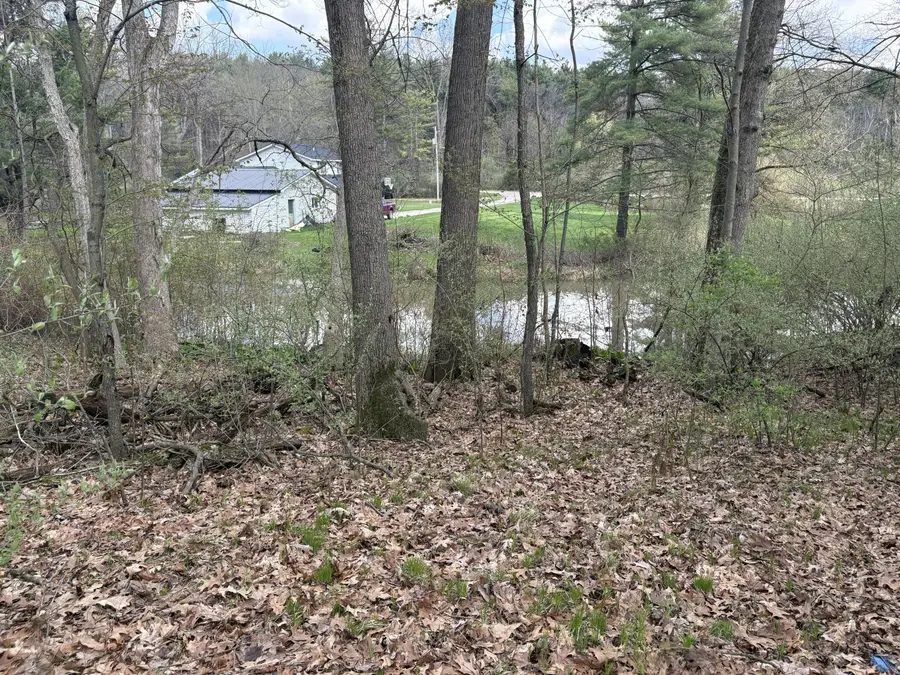 8091 Poplar Drive, Reading, MI 49274 - #3