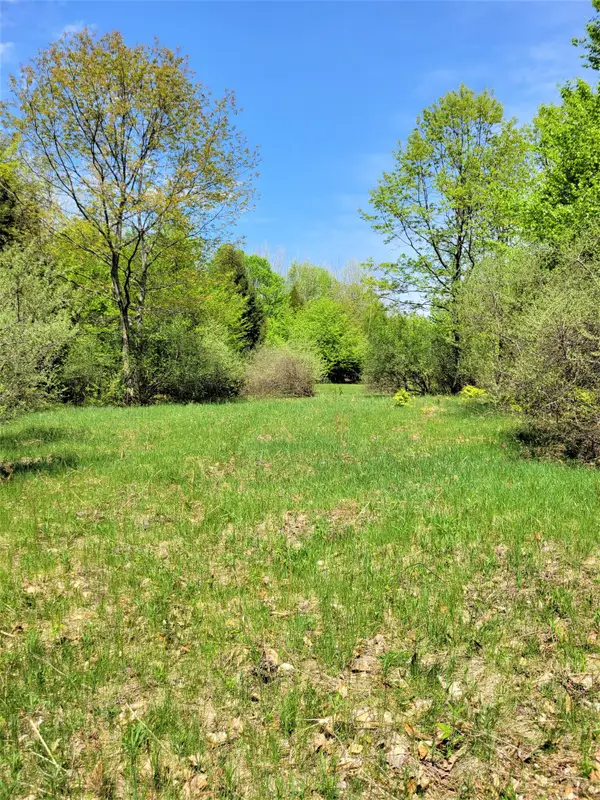 Smith Road #Lot 40, Onekama, MI 49675