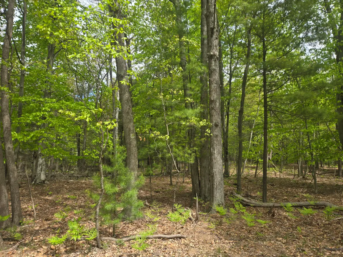 VL N Ridge Road, Mears, MI 49436 - #1