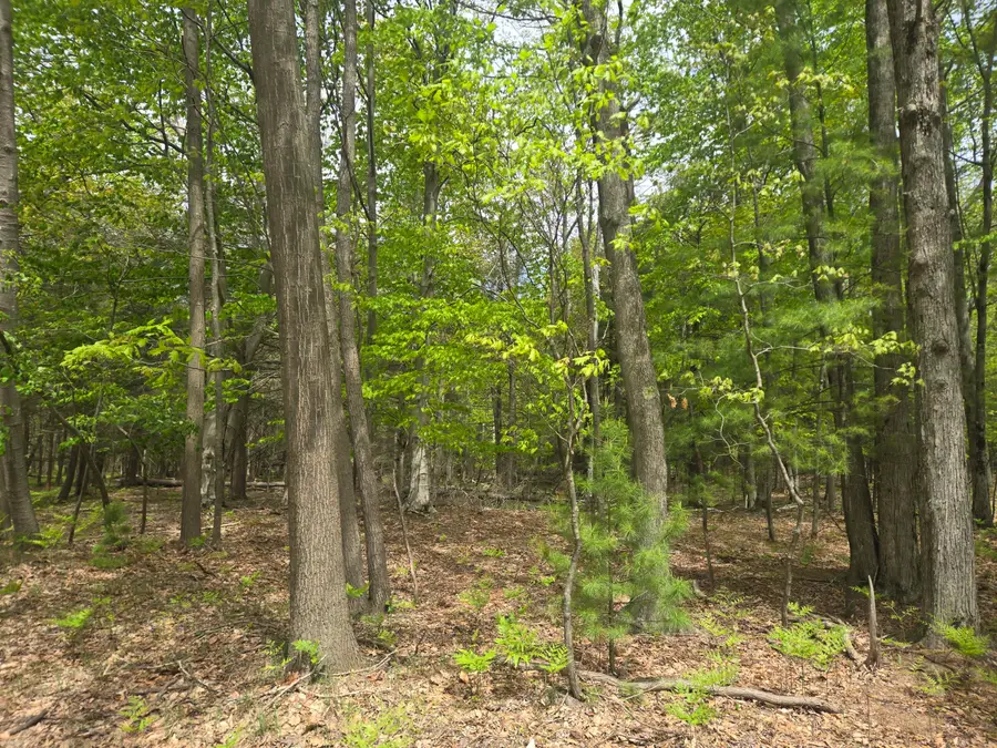 VL N Ridge Road, Mears, MI 49436 - #2