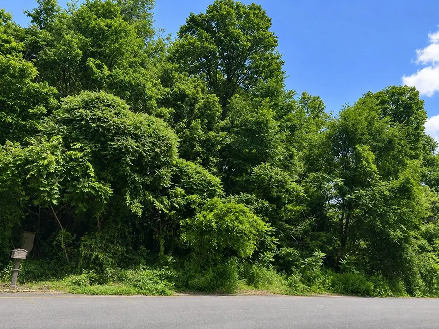 6158 Deer Run Road, Schoolcraft, MI 49087 - #2
