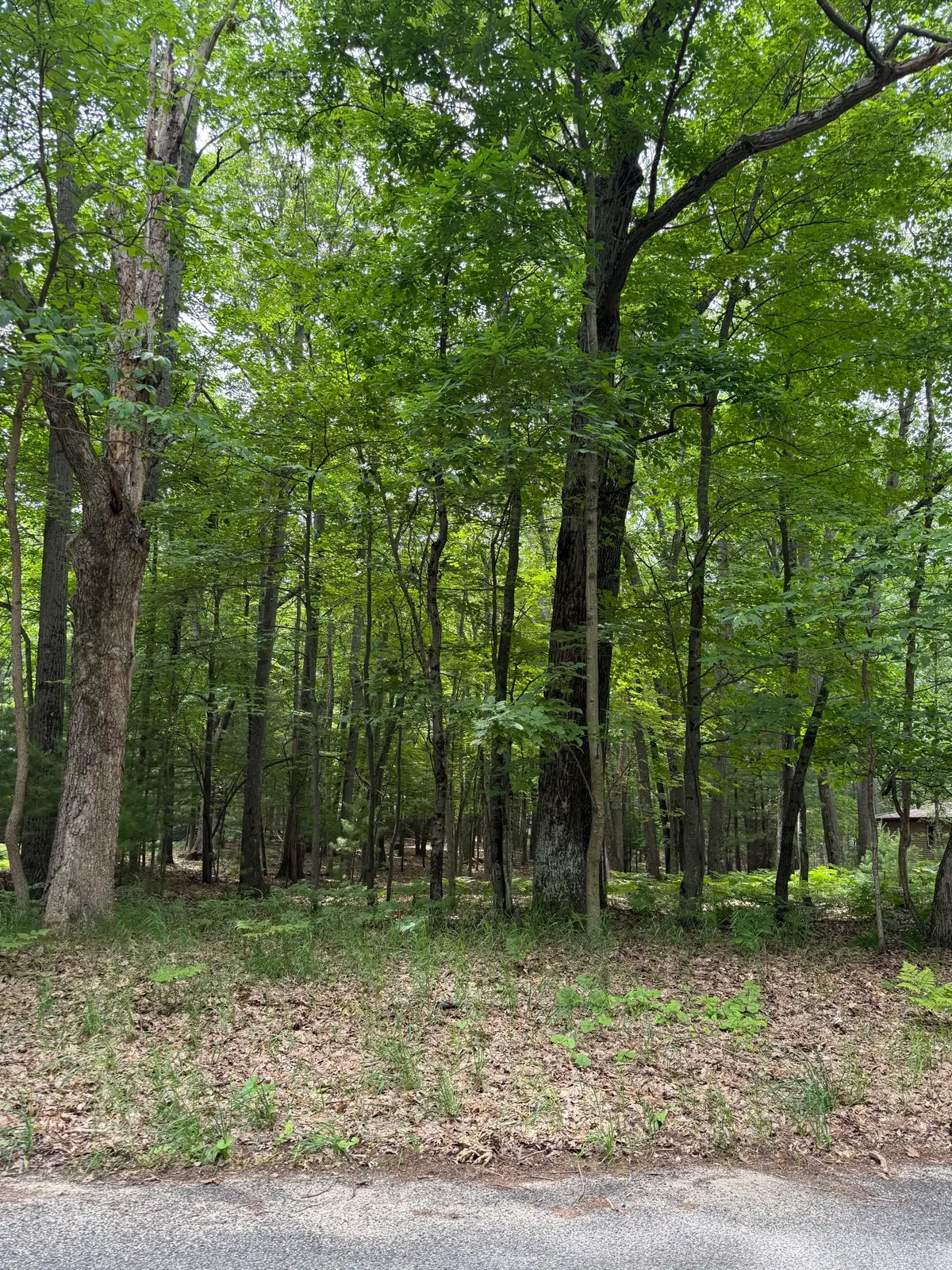 Lot 127 Wayne Road, Pentwater, MI 49449 - #1
