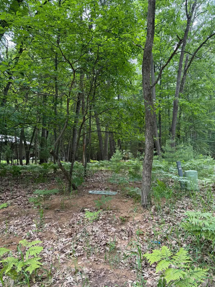 Lot 127 Wayne Road, Pentwater, MI 49449 - #3