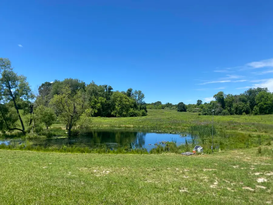 Cassidy Road, Bellevue, MI 49021 - #2