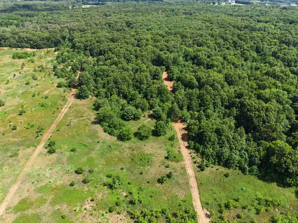 VL-F County Road 352, Decatur, MI 49045