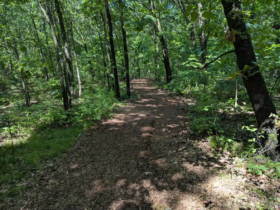 VL-H County Road 352, Decatur, MI 49045 - #3