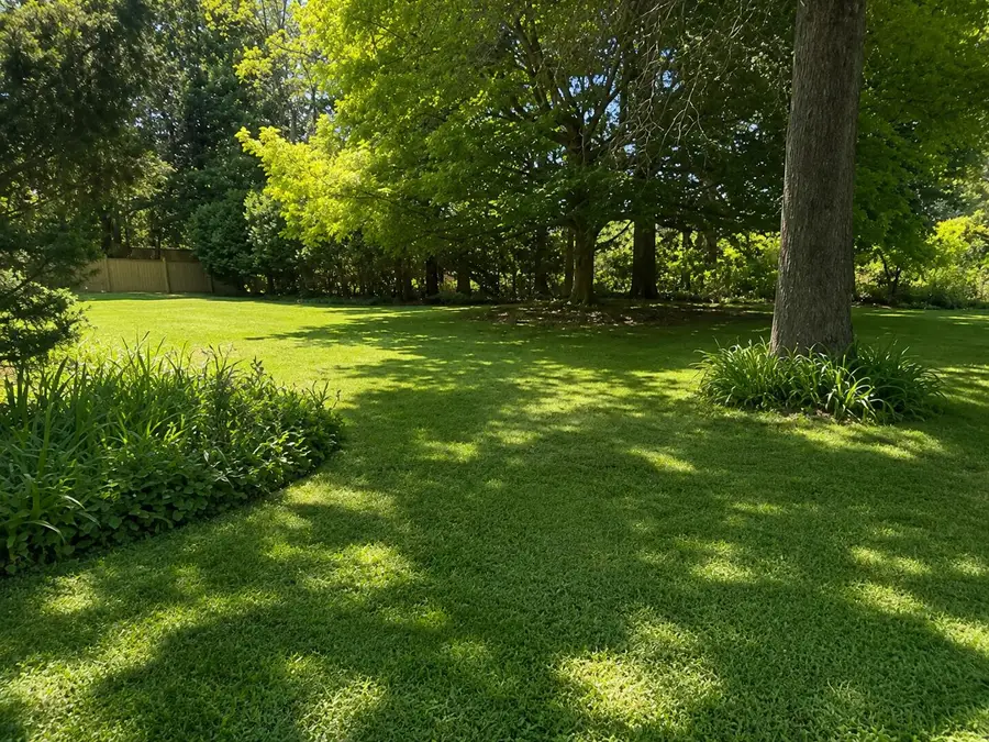 1165 Sassafras Lane, Niles, MI 49120 - #2