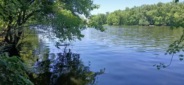 3791 Walnut Park Drive Ne, Grand Rapids, MI 49525