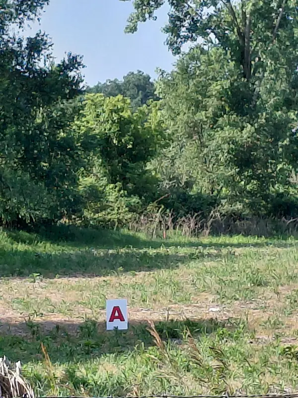 Stony Lake Road, Jackson, MI 49201