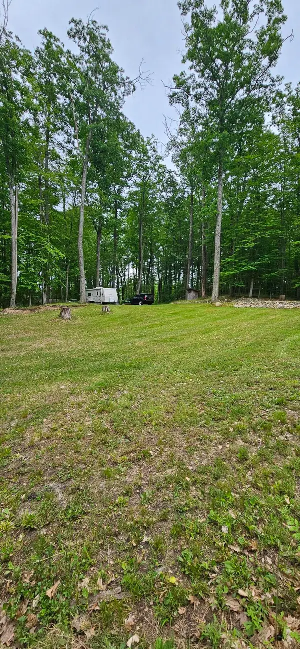 10527 Wampum Trail, Evart, MI 49631