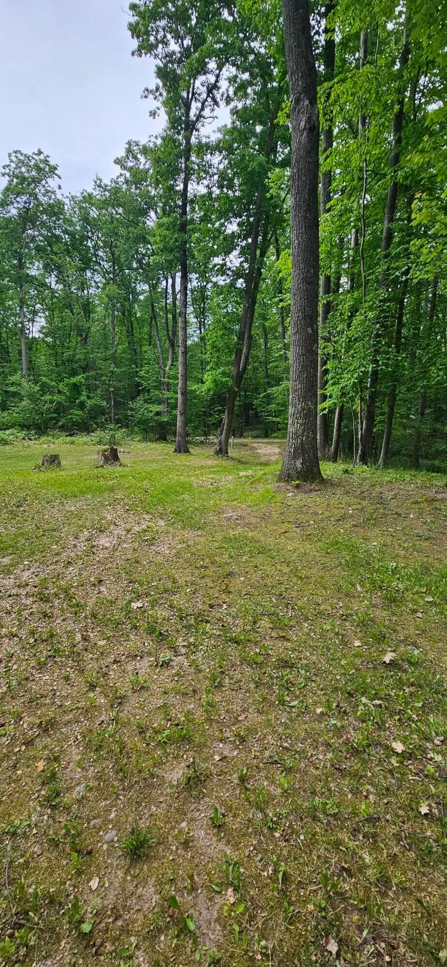 10527 Wampum Trail, Evart, MI 49631 - #2