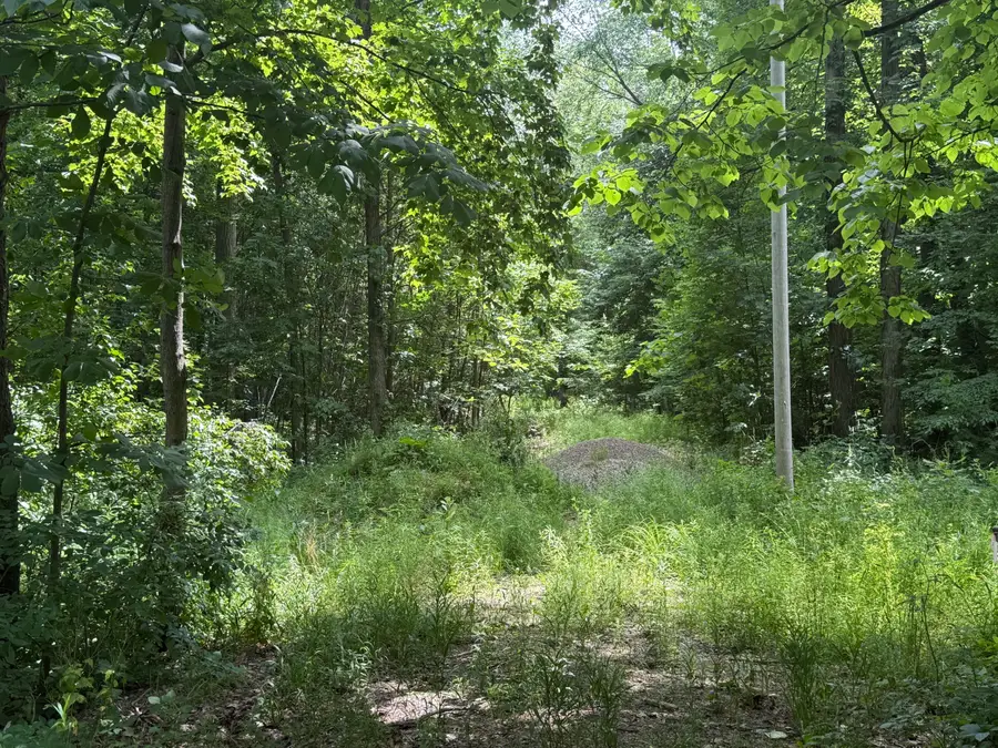 2264 D Drive S, East Leroy, MI 49051 - #2