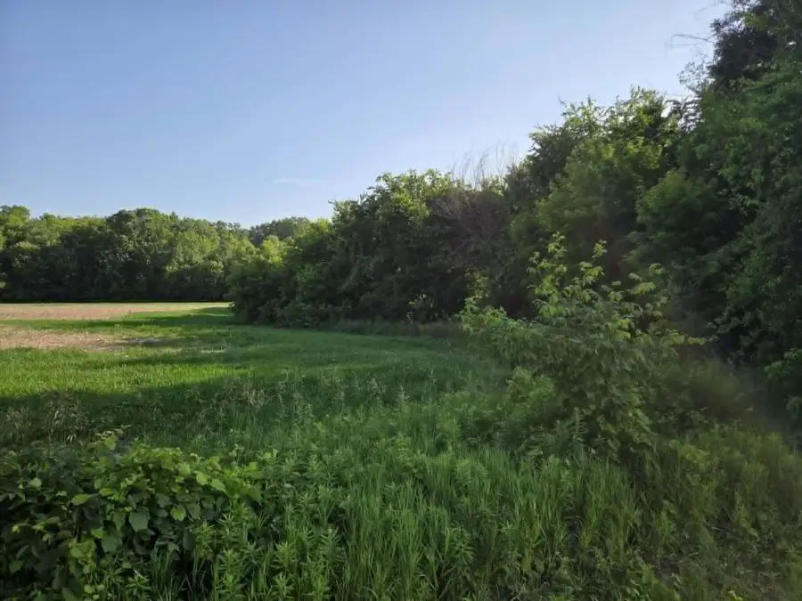 13450 Beardslee Street Ne #LOT C, Greenville, MI 48838 - #3