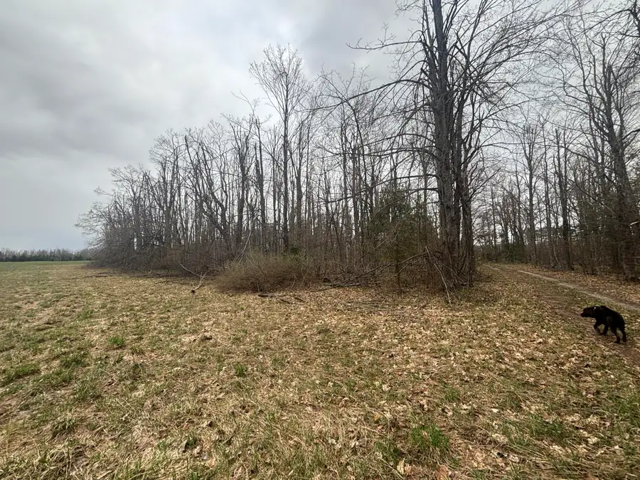 PD 4.63A Kassuba Road, Gaylord, MI 49735 - #3