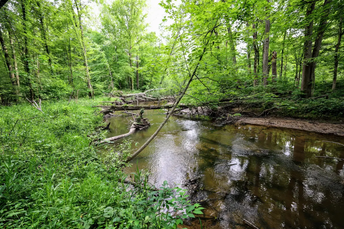 VL Black River Rd, Bangor, MI 49013 - #1