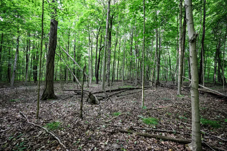 VL Black River Rd, Bangor, MI 49013 - #3