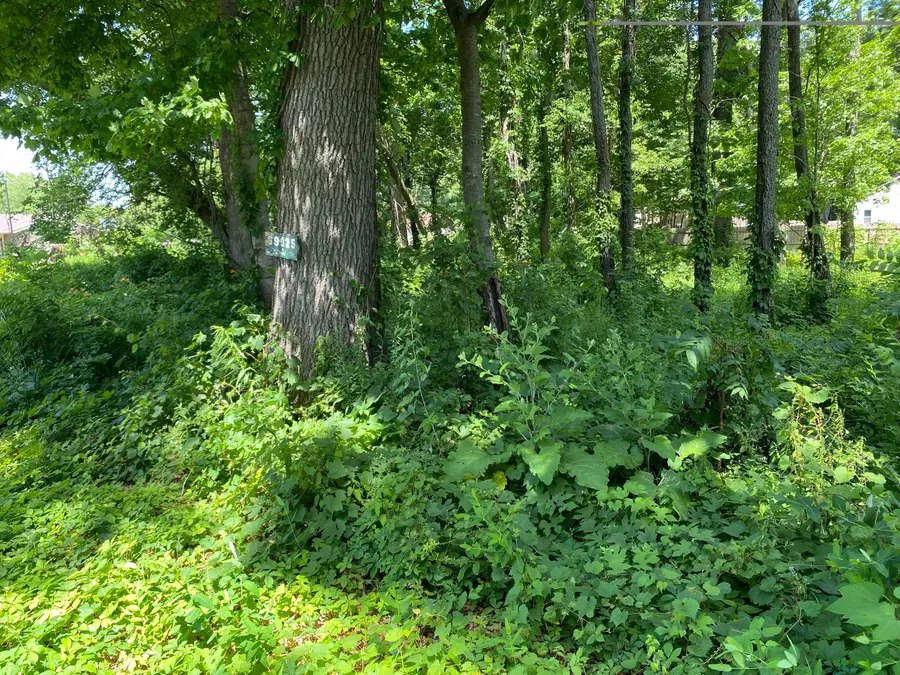 69025 Island Drive, Edwardsburg, MI 49112 - #2