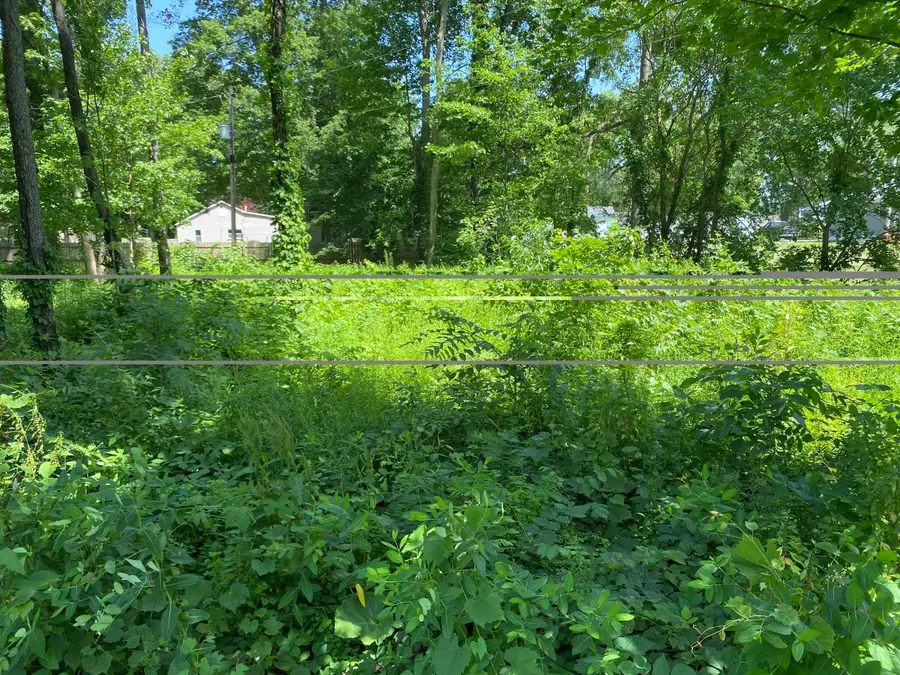 69025 Island Drive, Edwardsburg, MI 49112 - #3