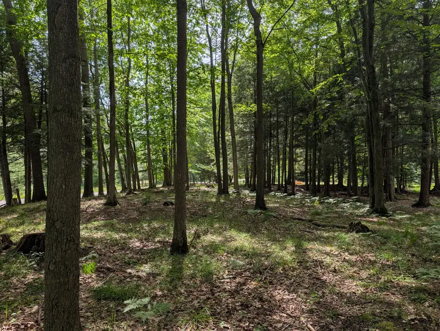 N. Glen Wood Dr. #1, Ludington, MI 49431 - #3
