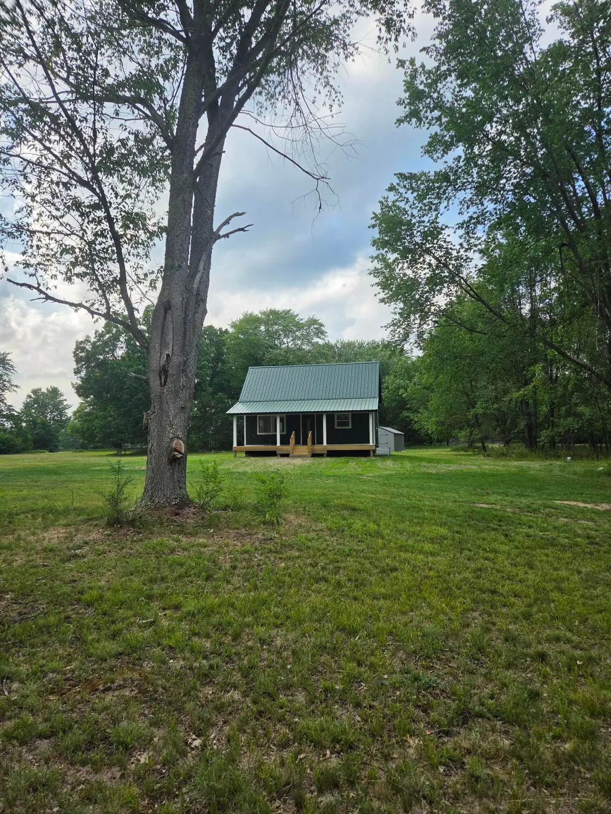 6250 Big Buck Trail, Lake, MI 48632 - #1