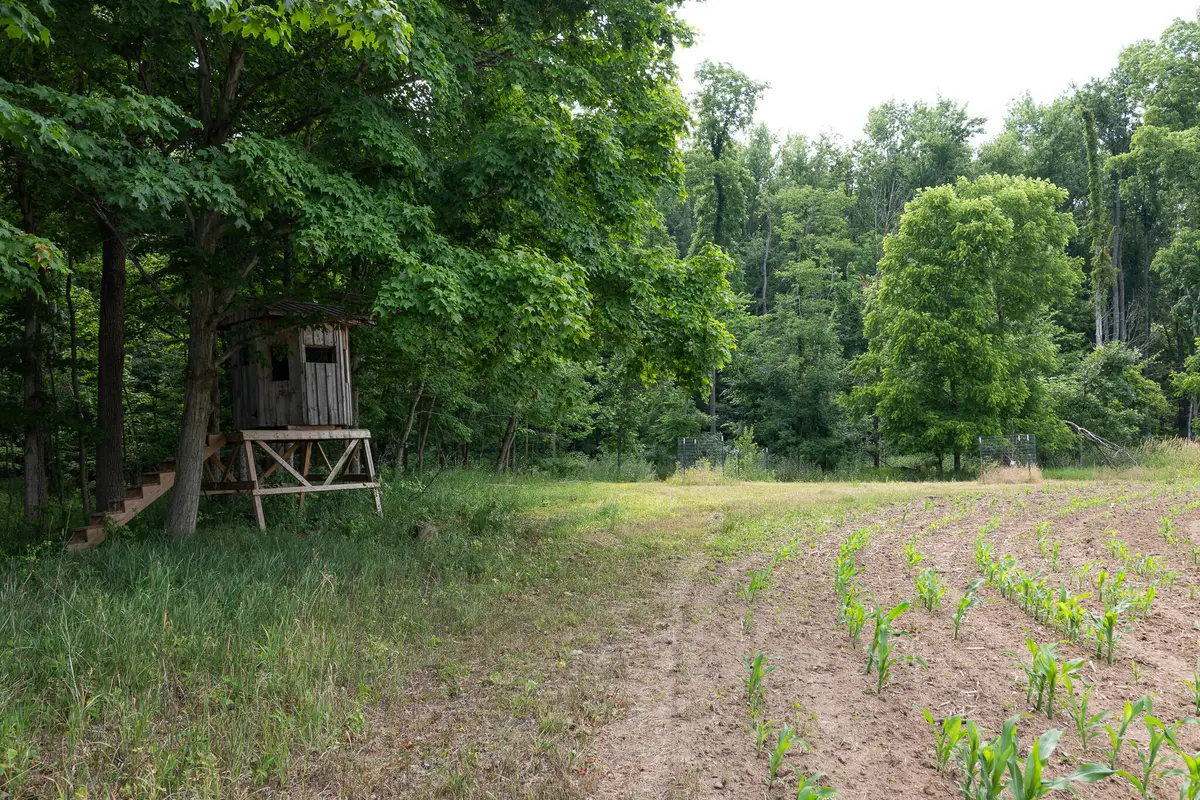 3282 Jerome Road N, North Adams, MI 49262 - #1