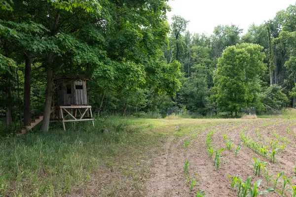 3282 Jerome Road N, North Adams, MI 49262