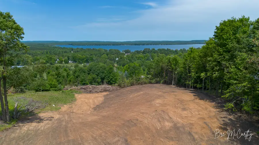 V/L Spruce Ridge Road, Bear Lake, MI 49614 - #2