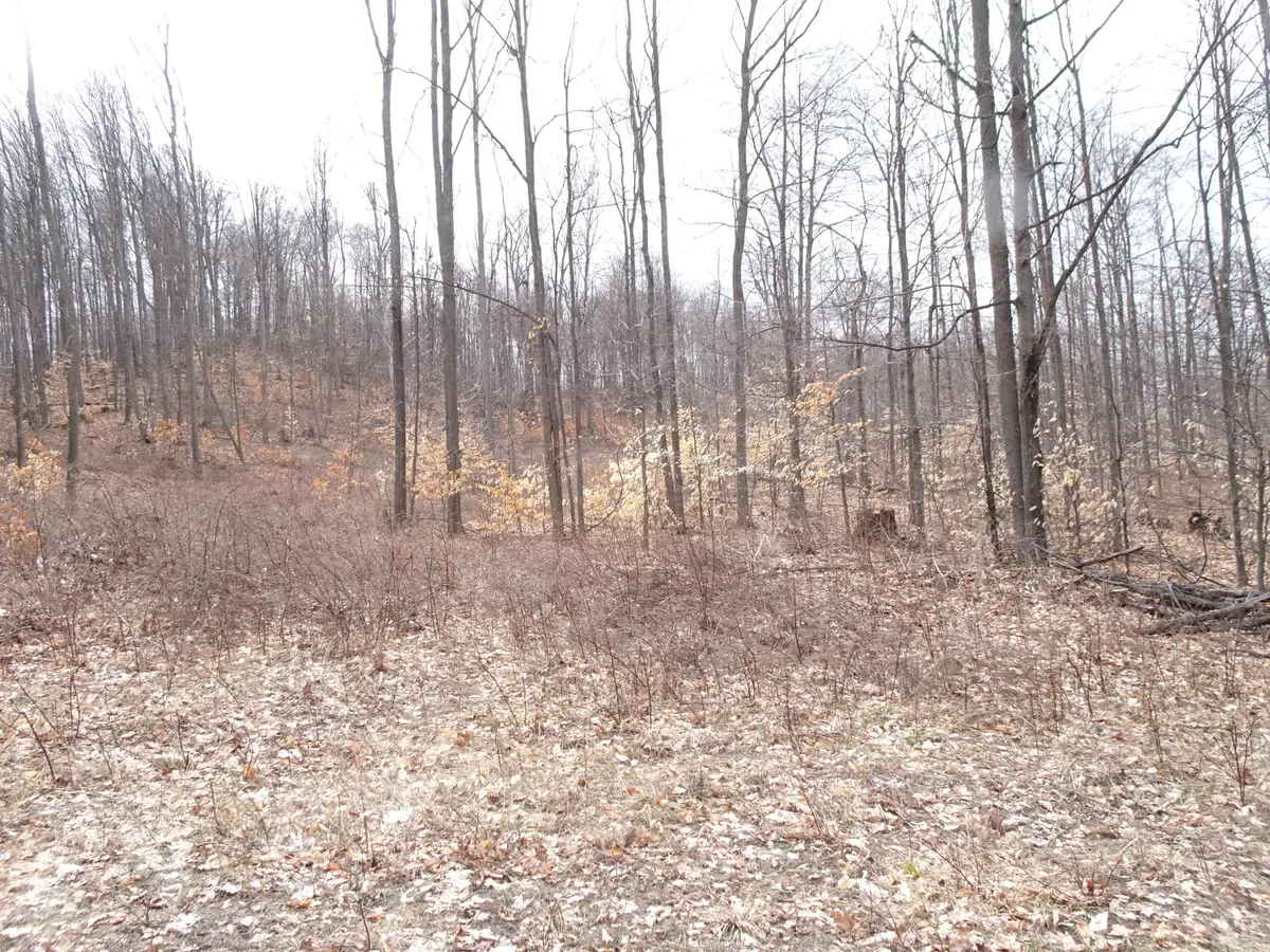 B Chief Road, Bear Lake, MI 49614 - #1