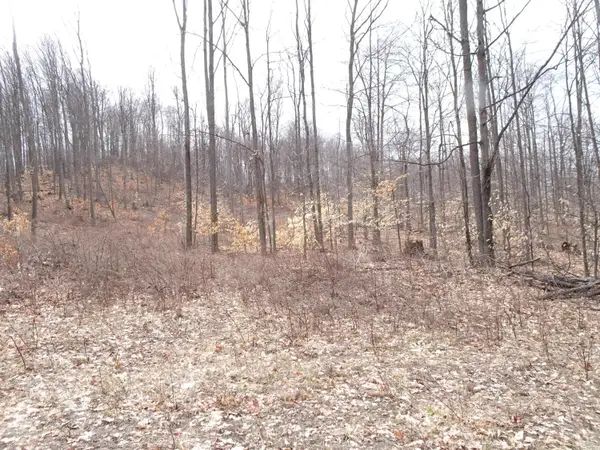 M Chief Road, Bear Lake, MI 49614