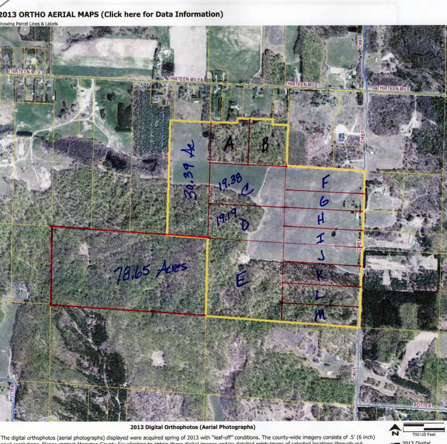 M Chief Road, Bear Lake, MI 49614 - #2