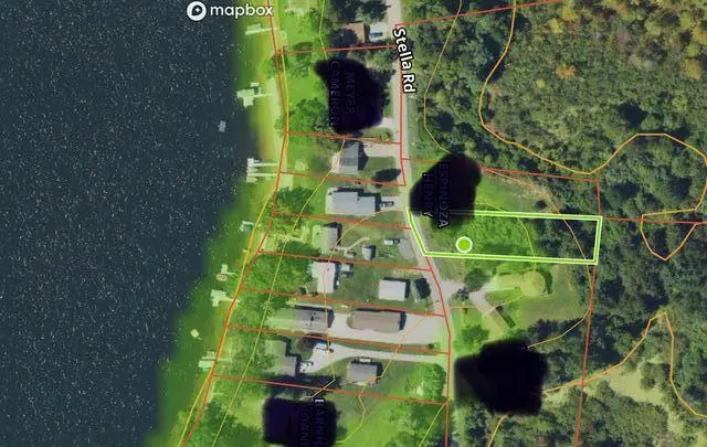 Lot 108 Stella Street, Custer, MI 49405 - #2