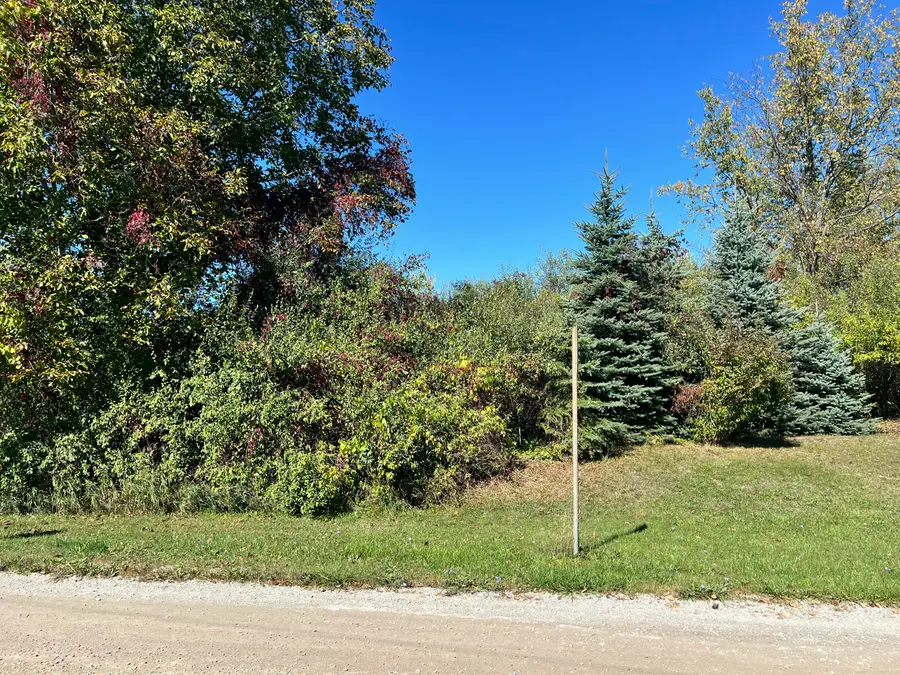 Lot 108 Stella Street, Custer, MI 49405 - #3