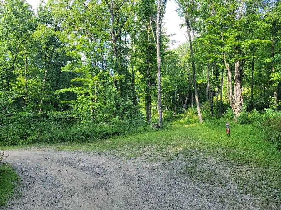 2996 Court Drive Se, Lowell, MI 49331 - #2