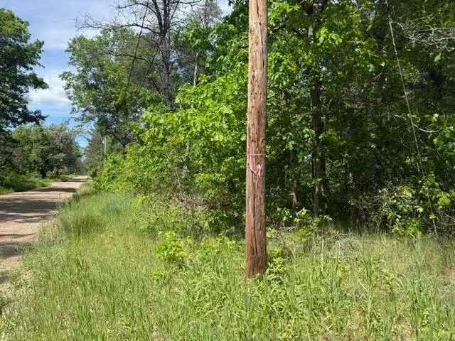 VL Princeton Drive, Baldwin, MI 49304 - #1