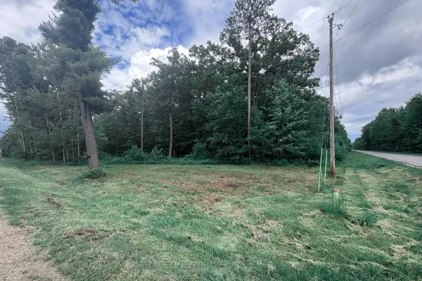 N Flint Road, Roscommon, MI 48653