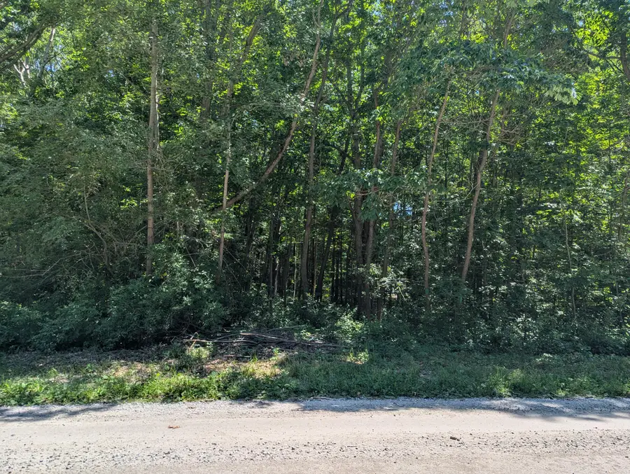 15320 Larsen Avenue Ne, Gowen, MI 49326 - #2