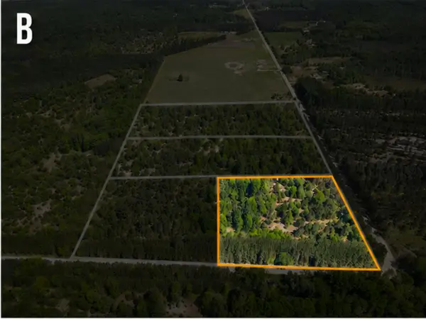 Parcel A Makinen Road, Kaleva, MI 49645