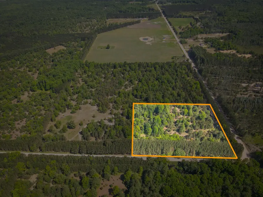 Parcel A Makinen Road, Kaleva, MI 49645 - #2