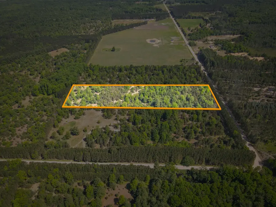 Parcel C Niemi Road, Kaleva, MI 49645 - #2
