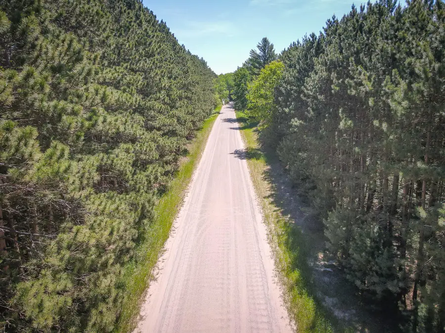 Parcel C Niemi Road, Kaleva, MI 49645 - #3